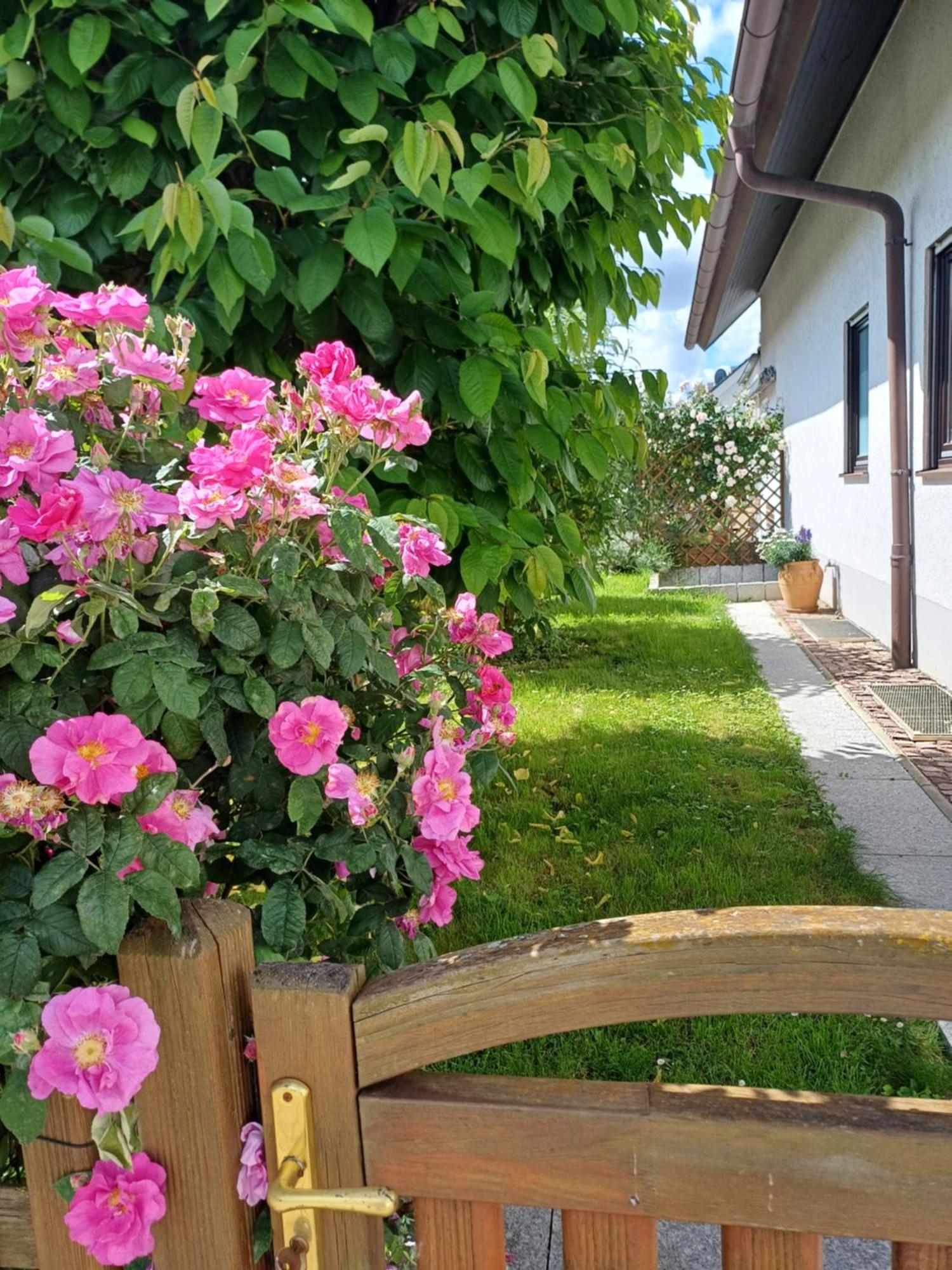 Ferienwohnung Unter Dem Sonnberg Auggen Bagian luar foto